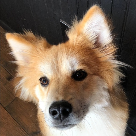 Hello hello - Picture 1 of 1